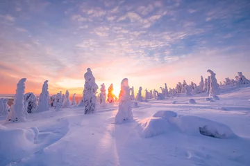 Foto auf Alu-Dibond winter landscape at sunset in Finnish Lapland © Artem