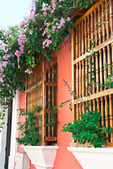 Colonial windows with plants in Cartagena, Colombia