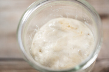 Sourdough starter