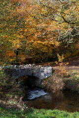 Autumn colours at Robbers Bridge in Exmoor National Park