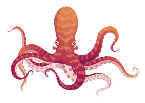 Octopus cartoon flat character with suckers on hands. Aquatic fauna icon. Animal illustration for zoo ad, nature concept. Cute color octopus, sea animal with tentacles