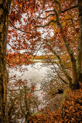 English country park in autumn

