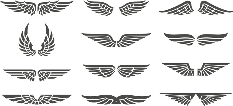 Wing badges. Eagle wings set, retro insignias, winged signs for aviation business emblems tattoos labels