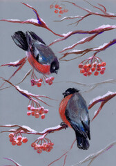 Two bullfinches sit on a mountain ash. Children's drawing - 551352407