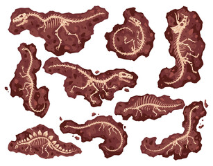 Dinosaur skeleton bones, fossil excavations of archeology isolated set. Collection of prehistoric reptile skeletons lying underground. Cartoon different dinosaur fossils. Paleontological artifacts © the8monkey