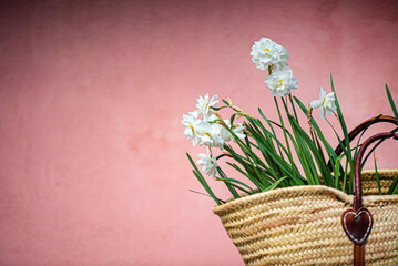 white narcissus in the basket