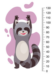 Height measure with growth ruler chart with cute cartoon raccoon animal. Funny kids meter, wall scale from 0 to 130 centimeter to measure growth. Children room wall sticker as interior decor