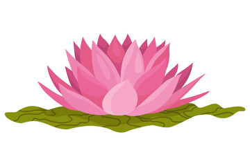 Lotus. Pink flower and leaves for advertising or invitation. Blossom, bud opening, an aquatic plant. 3D design. Isolated objects for design