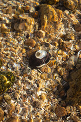 Stones under water
