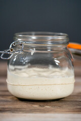 Sourdough starter