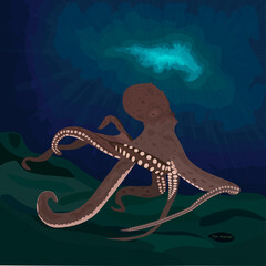 Seaworld underwater animal octopus swimming