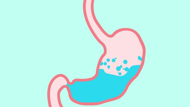 Bloating digestion system color icon. bloating digestion system sign. isolated symbol illustration
