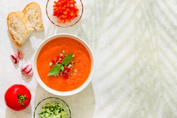 Gazpacho soup. Traditional spanish cold tomato soup.