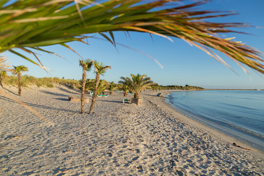 Palm beach Frederikshavn, Denmark