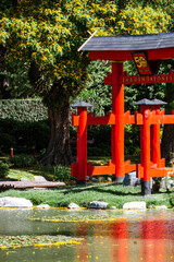 A beautiful Japanese garden through a photographer's lens