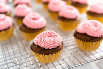 Chocolate raspberry cupcakes