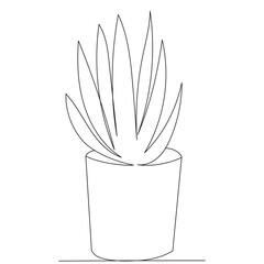 flower in pot sketch, continuous line drawing, vector