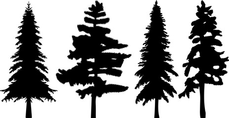 silhouette of pine, fir tree design vector isolated
