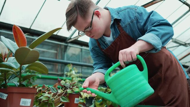 Concentrated male florist with down syndrome watering flowers in the greenhouse