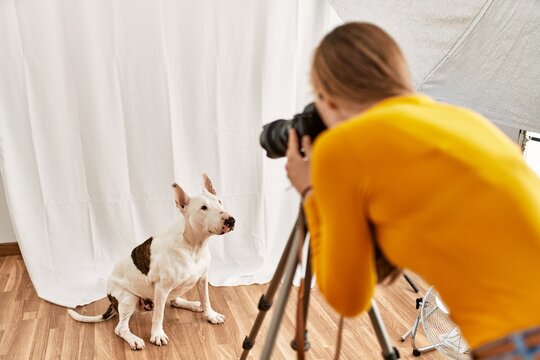Young caucasian woman photographer making photo to dog at photography studio