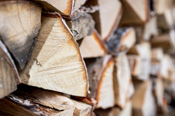 birch firewood split and stacked in a woodpile