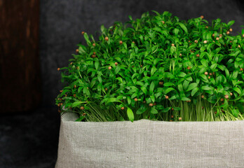 fresh greens for decorating dishes