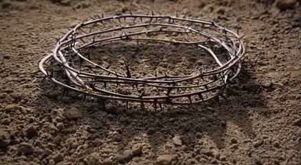 Thorn wreath with crown shadow