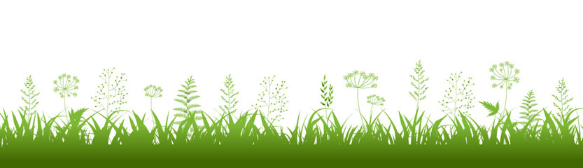 green grass background