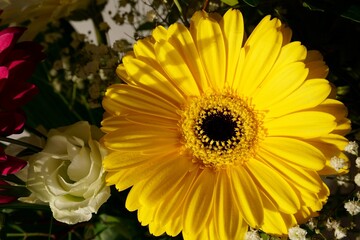 yellow flower in a bunch of flowers