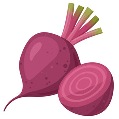 Cartoon beet vegetable. Raw fresh beetroot, whole vegetable and half, organic vegetables for healthy lifestyle flat vector illustration on white background