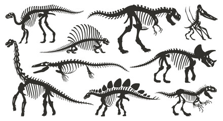 Cartoon dino skeleton silhouettes. Ancient dinosaur fossil bones, jurassic tyrannosaurus, velociraptor, spinosaurus black silhouette flat vector illustration set on white background © GreenSkyStudio