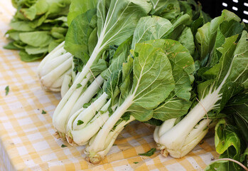 market bok choy
