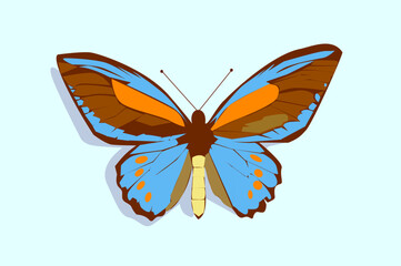 butterfly vector illustration with geometric shapes
