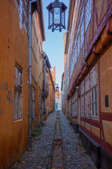 Fototapeta na wymiar A narrow path between old buildings in Elsinore