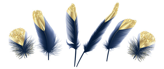 Set Modern abstract art Blue with Golden Feather. Vector illustration.