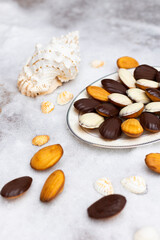 Madeleine biscuits with dark and white chocolate glaze and sea shells on white snow