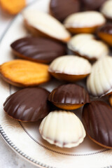 Obraz na płótnie Canvas Madeleine biscuits with dark and white chocolate glaze and sea shells on white snow