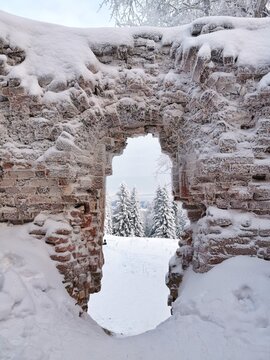 Winter landscape with ruins of old monastery and snow-covered fir trees. Krasnaya gorka village, Pinega district, Arkhangelsk region. 