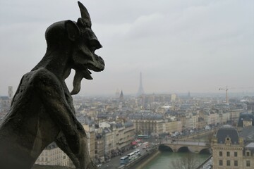 Gargoyle in Notre Dame