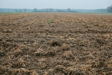 Plowed field in winter - countryside landscape 