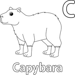 Capybara Animal Alphabet ABC Isolated Coloring C