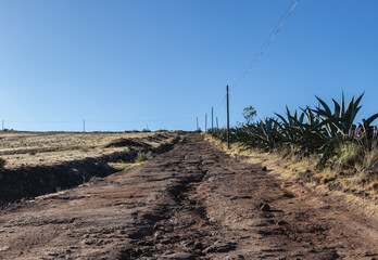 cerro camino naturaleza cielo maguey