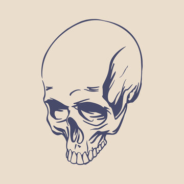 Realistic skull drawn for tattoo, horror design. Symbol of death. Vector clipart