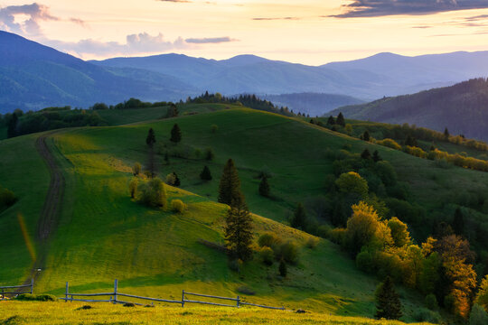 countryside scenery of carpathian mountains. beautiful nature background at sunset in spring. trees on the grassy hills and fluffy clouds above the distant ridge