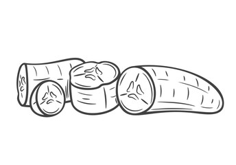 Banana cut into half and slices line icon vector illustration. Hand drawn outline ripe pieces of whole fresh peeled banana, group or pile of chopped and sliced tropical fruit for cooking in kitchen