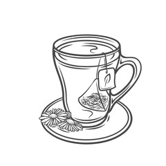 Cup with herbal tea line icon vector illustration. Hand drawn outline glass teacup with tea bag in hot water, organic leaf and aromatic chamomile flowers on saucer, rustic drink for healthy sleep
