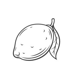 Lemon with leaf line icon vector illustration. Hand drawn outline whole fresh citrus fruit with peel for cooking lemonade and juice, tropical organic lemon, citron or lime from exotic summer garden