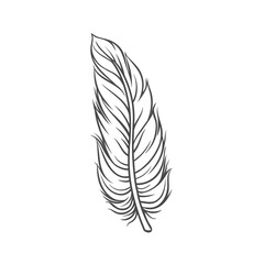 Feather line icon vector illustration. Hand drawn outline angel or bird smooth soft plumage, single fluffy plume and pen for writing or filling pillow, easy furry feather and fluff from wings