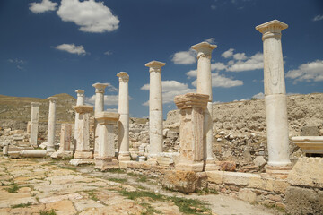 Fototapeta premium Tripolis on the Meander Ancient City in Denizli, Turkiye