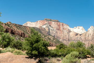 Fototapeta premium mountain landscape in the zion national park, Utah, USA